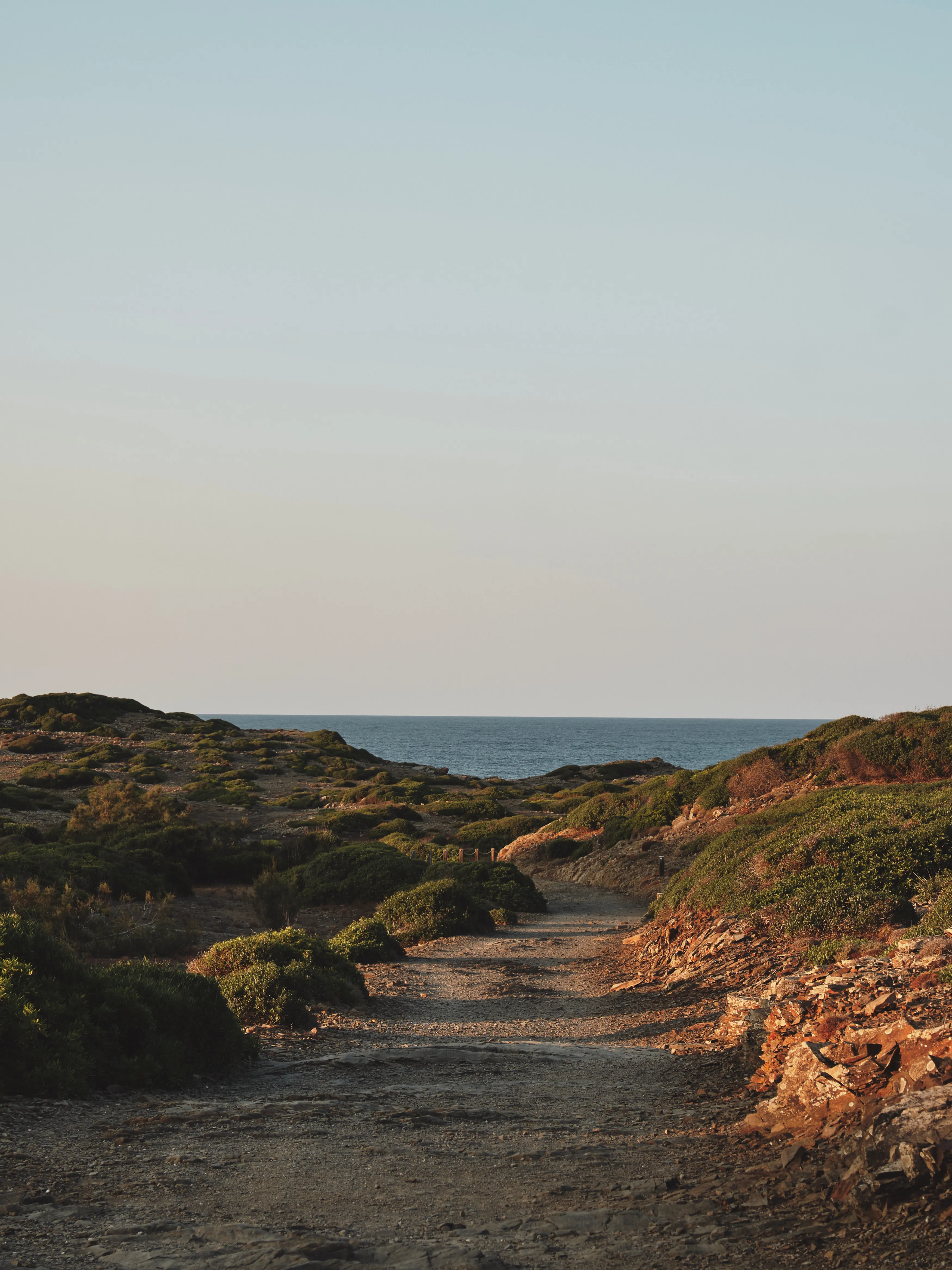 Camino costero sinuoso rodeado de vegetación mediterránea, con el mar azul en el horizonte bajo un cielo claro.