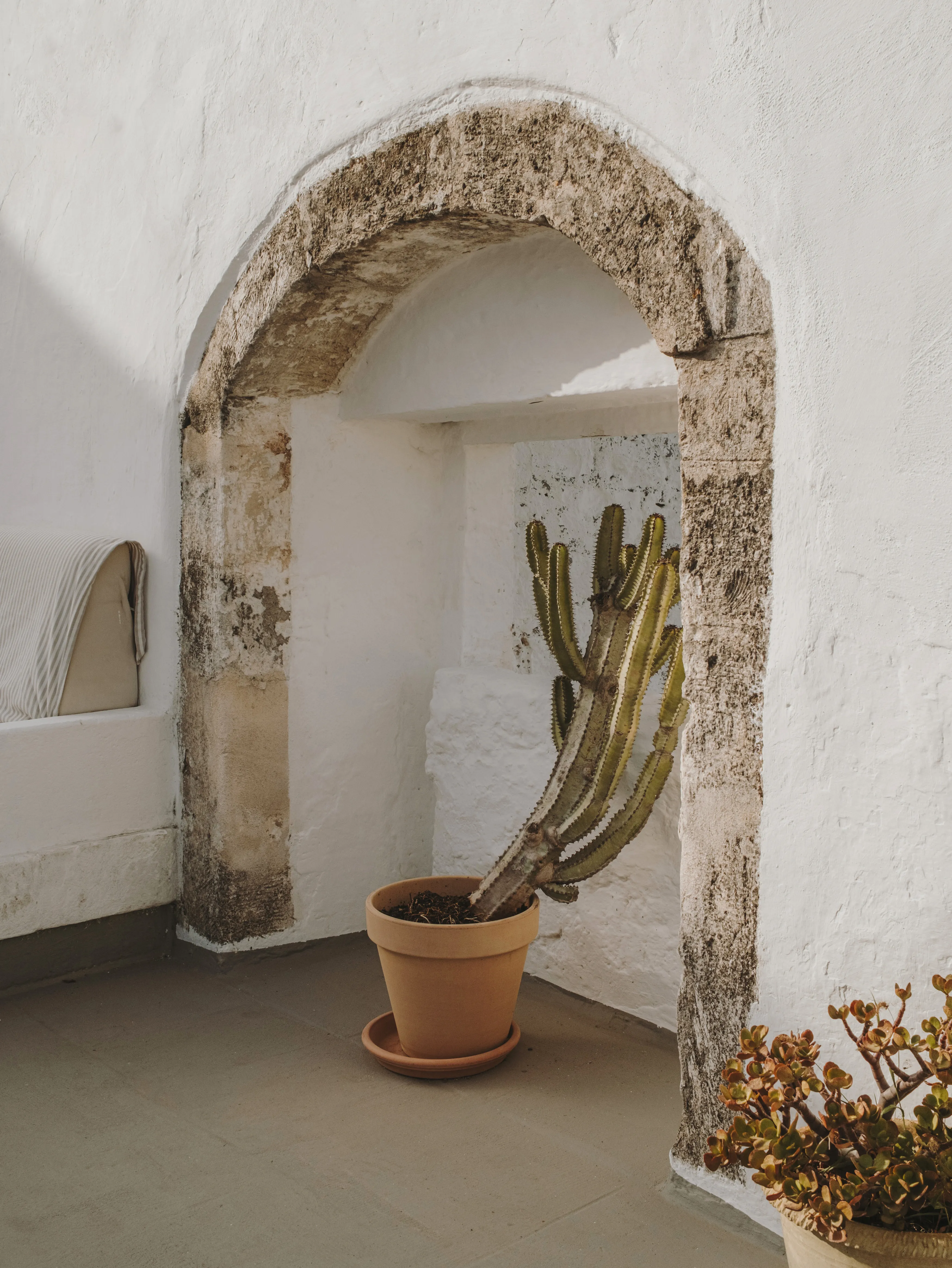 Arco de piedra rústica y paredes blancas en un espacio mediterráneo con un cactus grande en maceta de terracota.