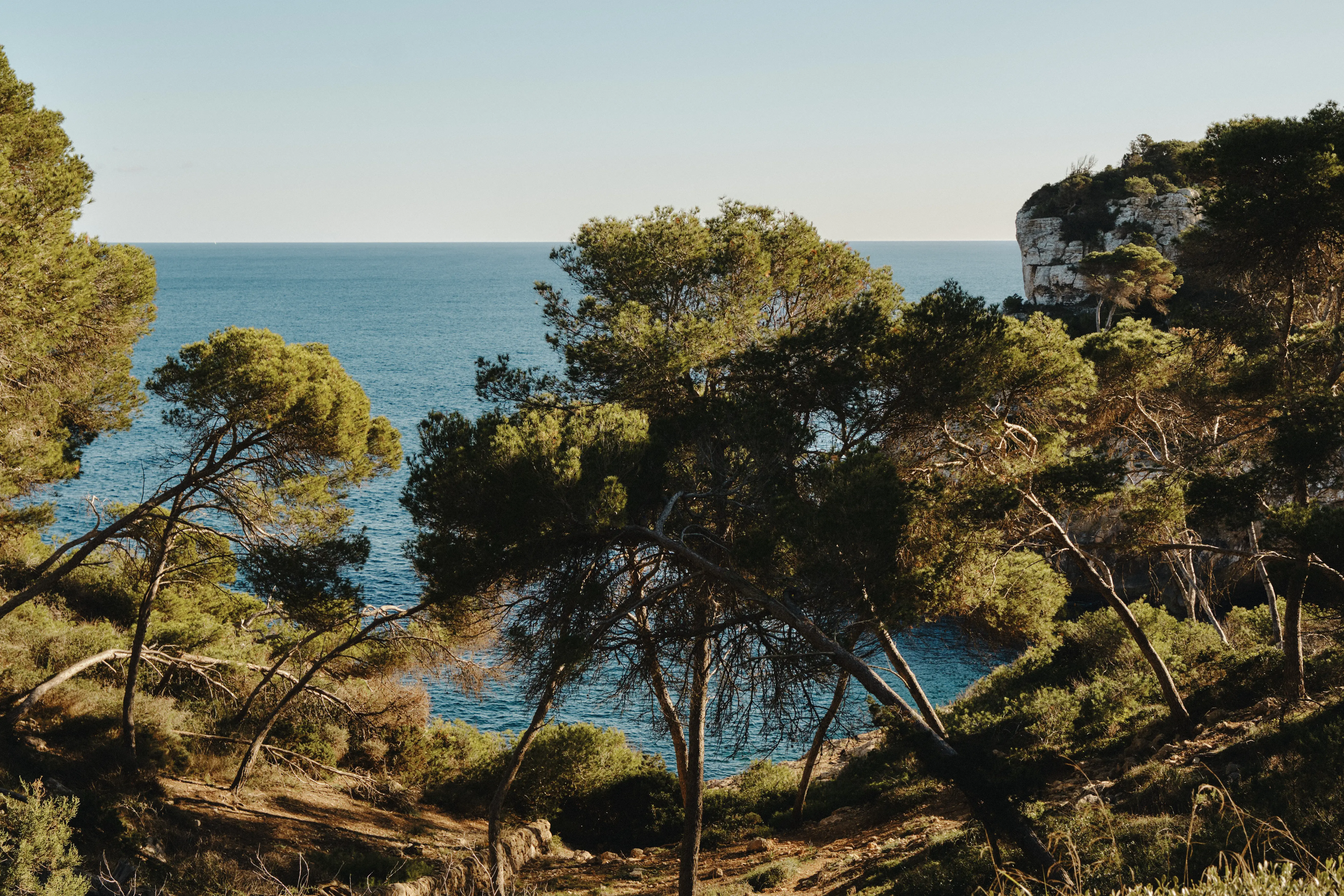 Pinares mediterráneos en una cala rocosa, con el mar azul y un cielo despejado. Escena natural y tranquila.