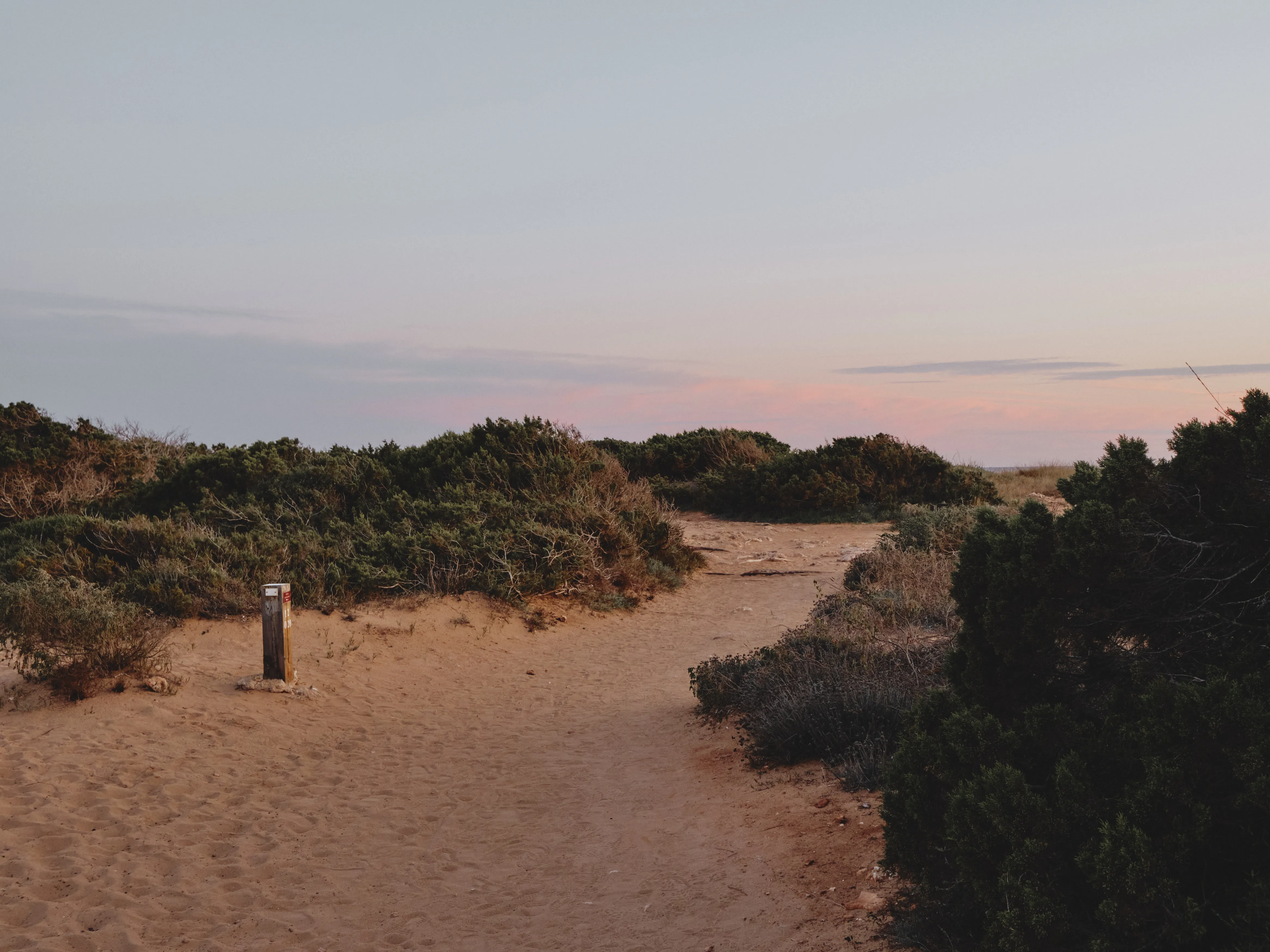 Sendero de arena entre vegetación mediterránea bajo un cielo suave al atardecer, con un poste indicador.