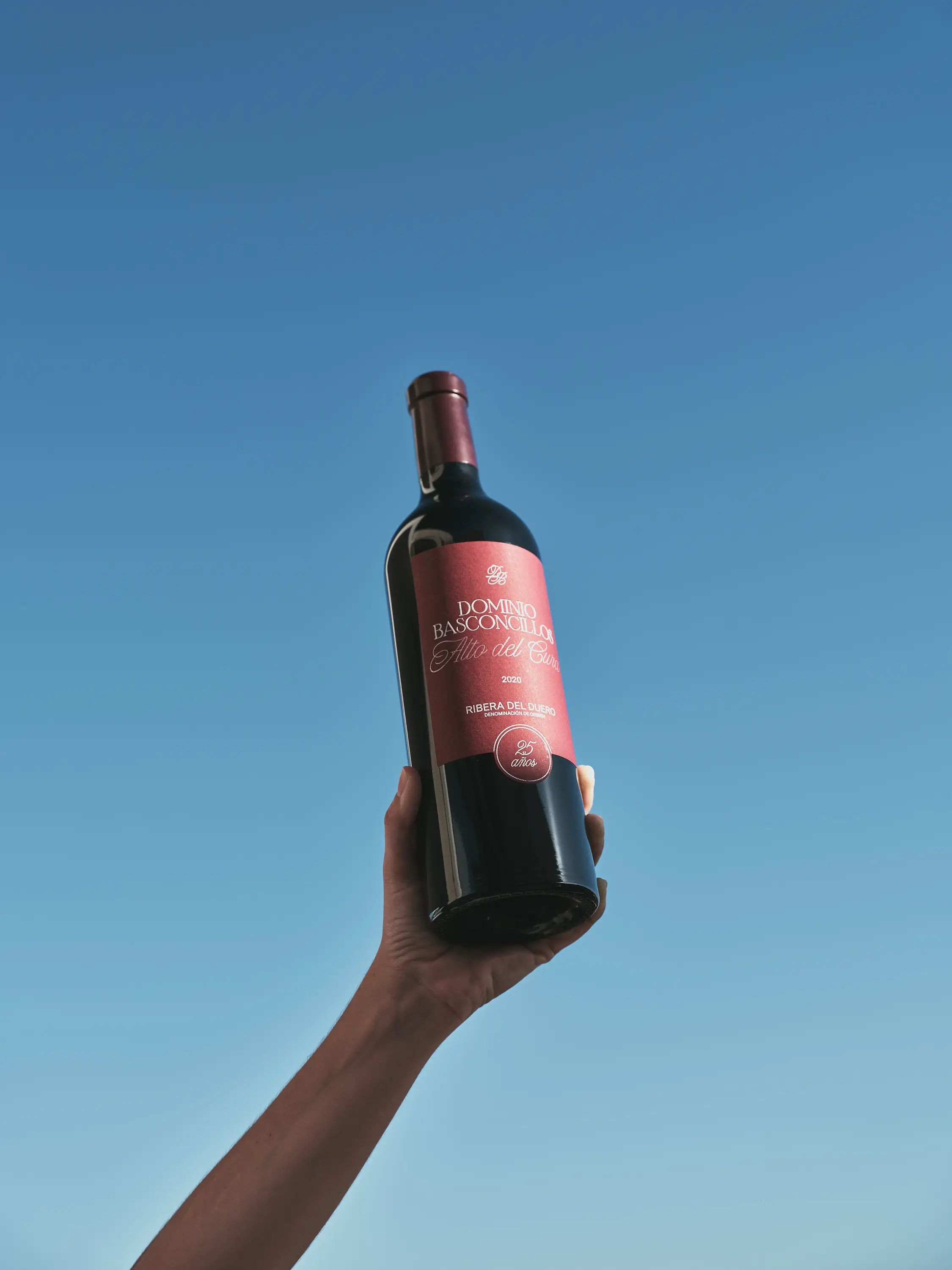 Mano elevando una botella de vino tinto Dominio Basconcillos Alto del Cubillo 2020 Ribera del Duero bajo un cielo azul vibrante.