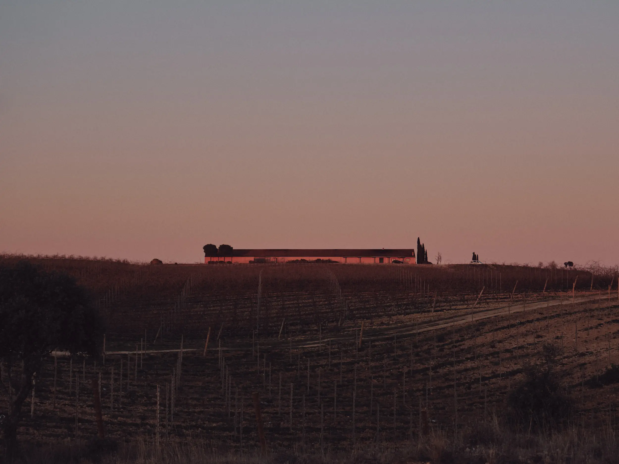 Atardecer rosado sobre campos de cultivo y un edificio rural en la colina, evocando la calma del campo.