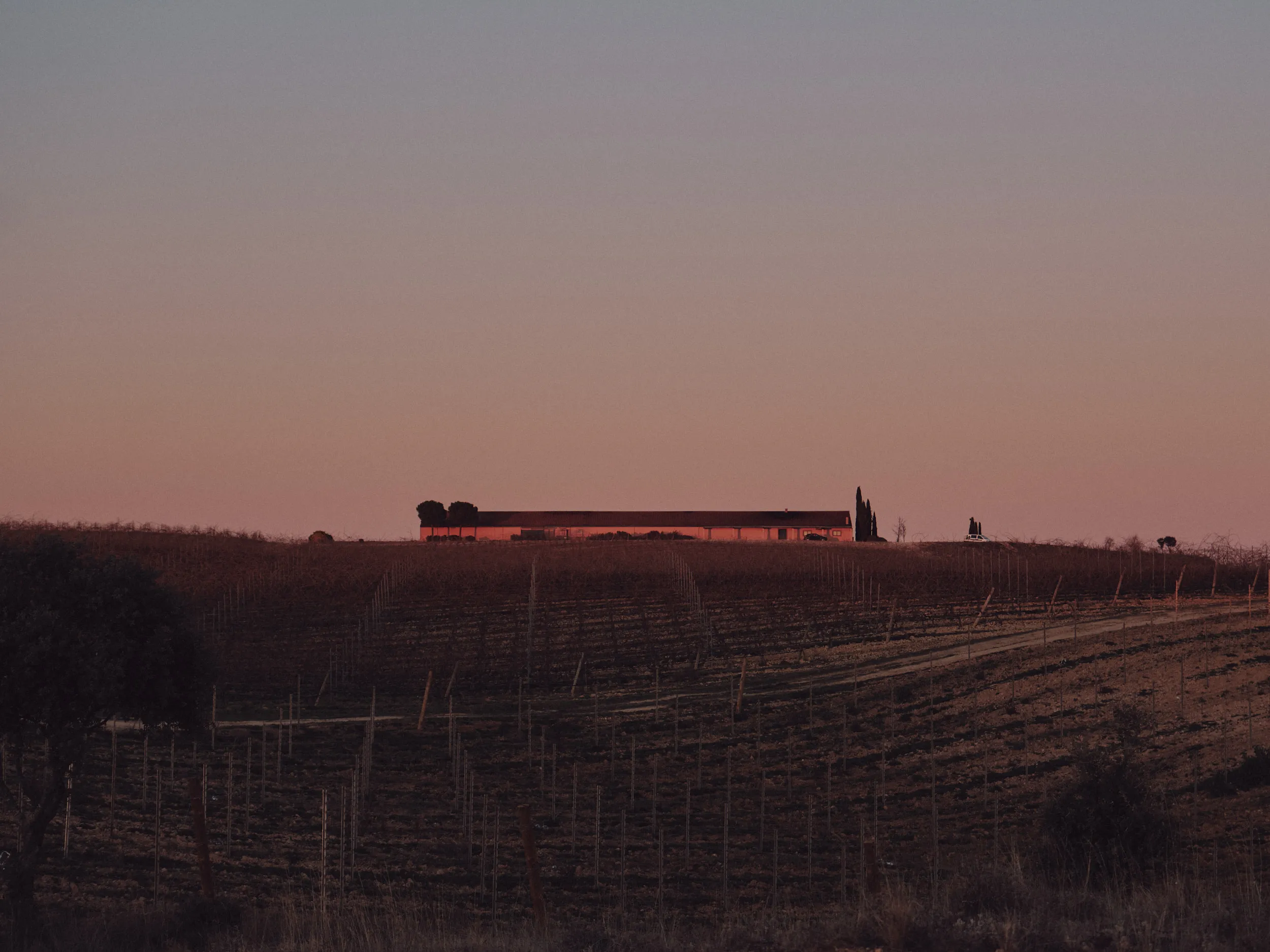 Atardecer rosado sobre campos de cultivo y un edificio rural en la colina, evocando la calma del campo.