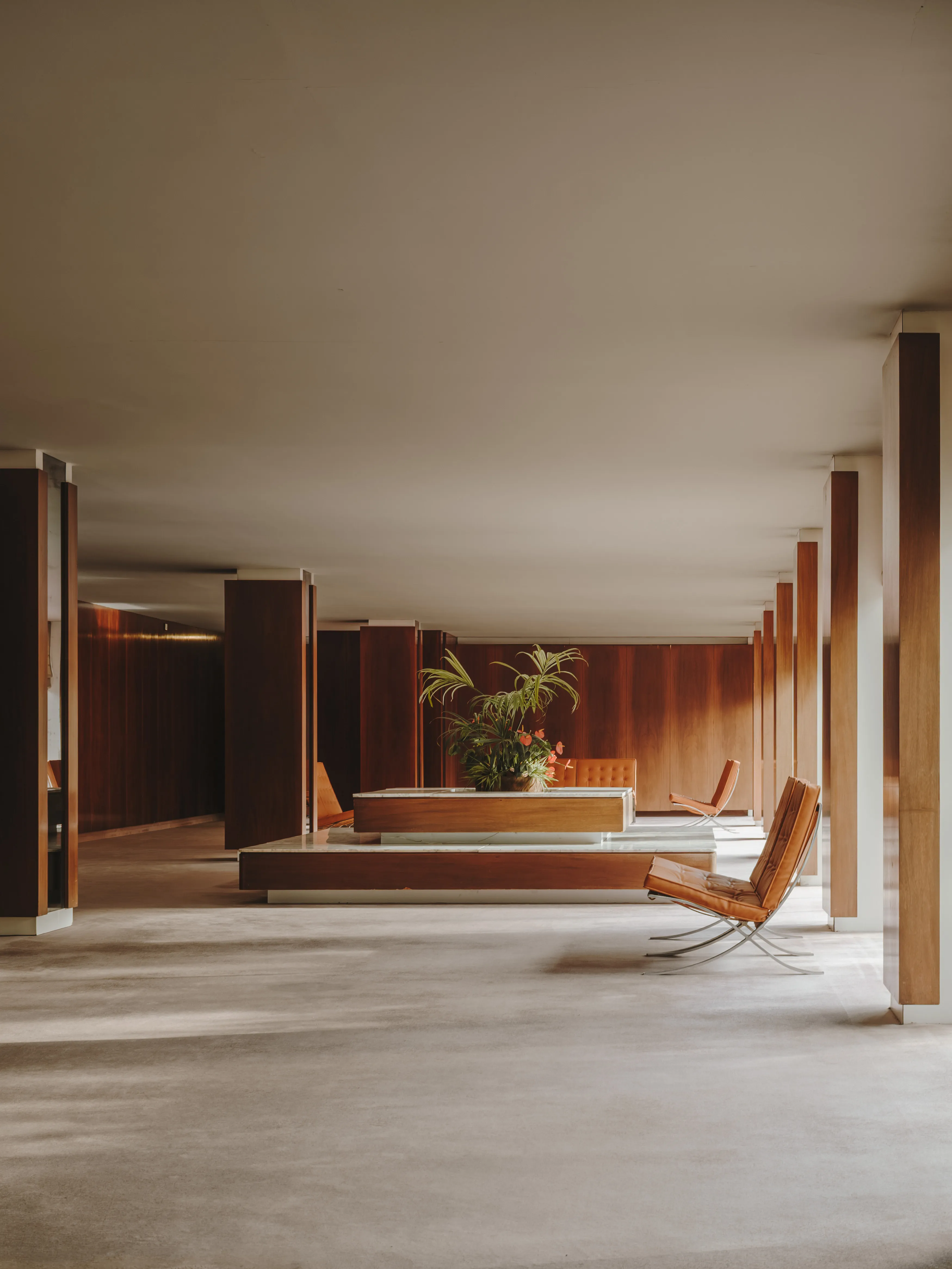 Amplio interior moderno con suelo de hormigón, paredes de madera cálida, planta central y sillas de diseño en cuero. Ambiente sereno.
